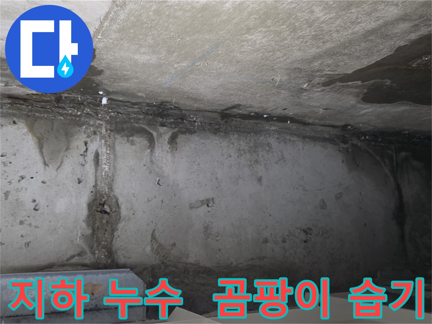 남양주 건물 지하 누수 - 곰팡이와 습기