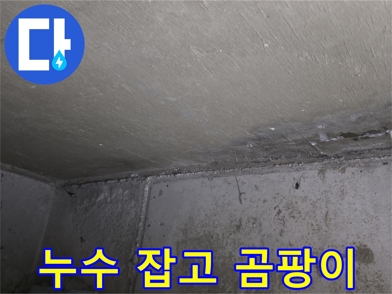 남양주 오남 두산아파트 베란다 곰팡이 - 누수 해결이 먼저