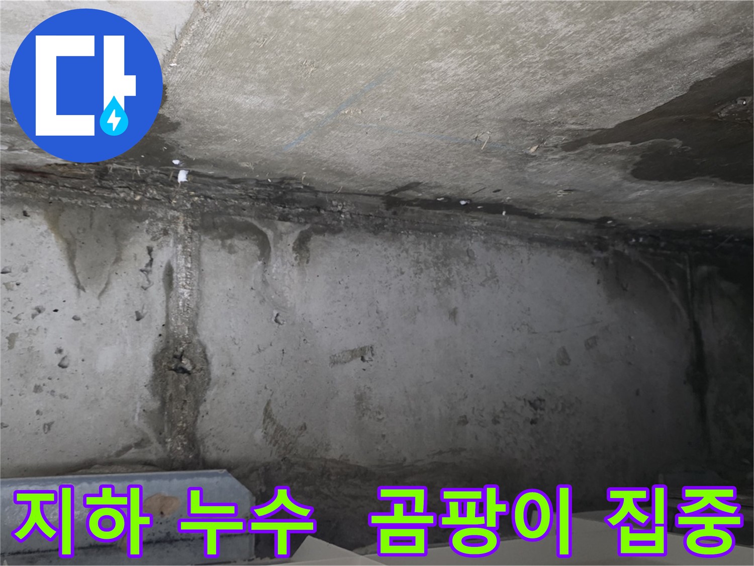 남양주 오남리 두산아파트 지하 누수 - 곰팡이 집중 발생
