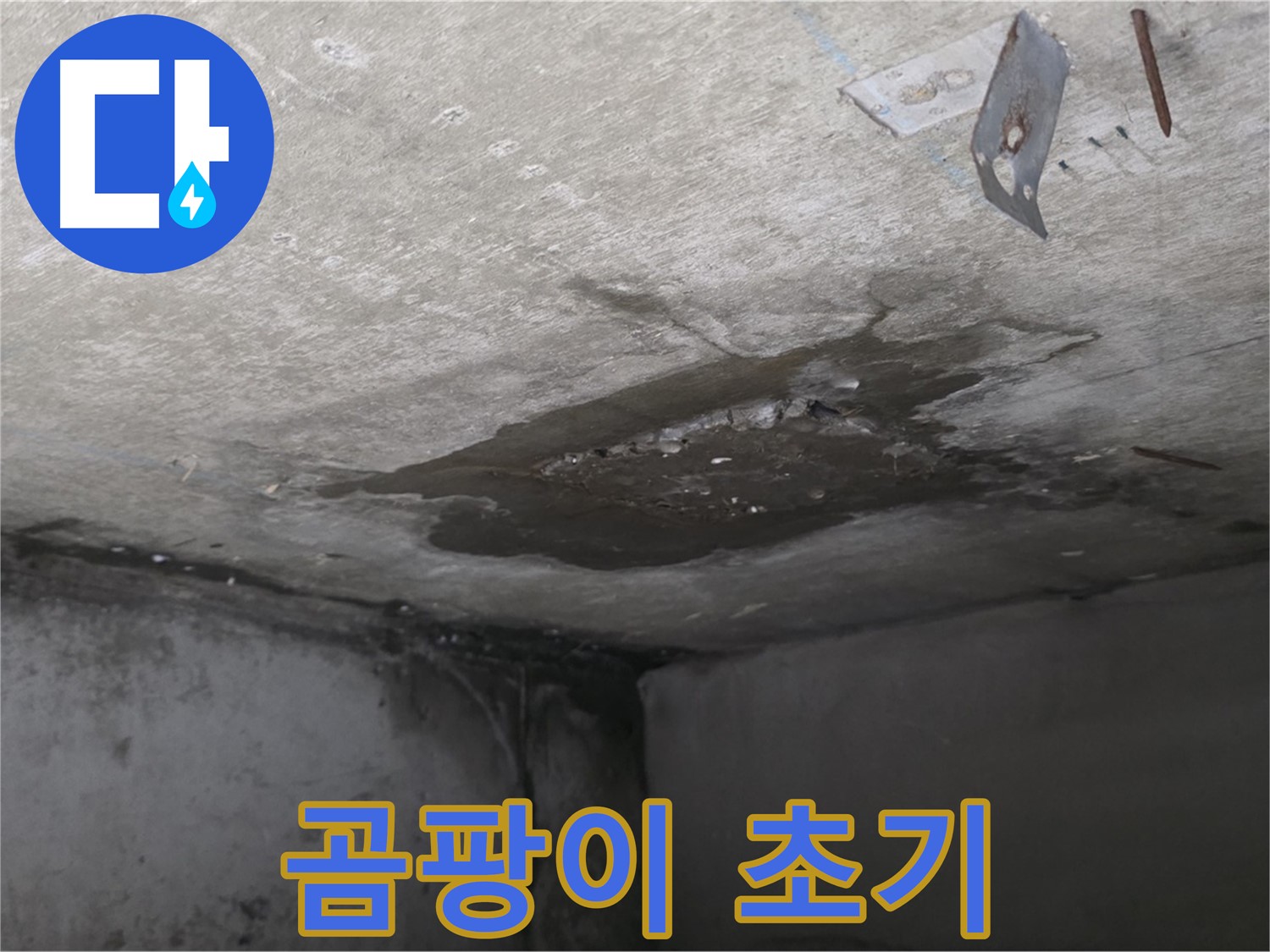 콘크리트 표면 곰팡이 초기 - 남양주 오남 누수