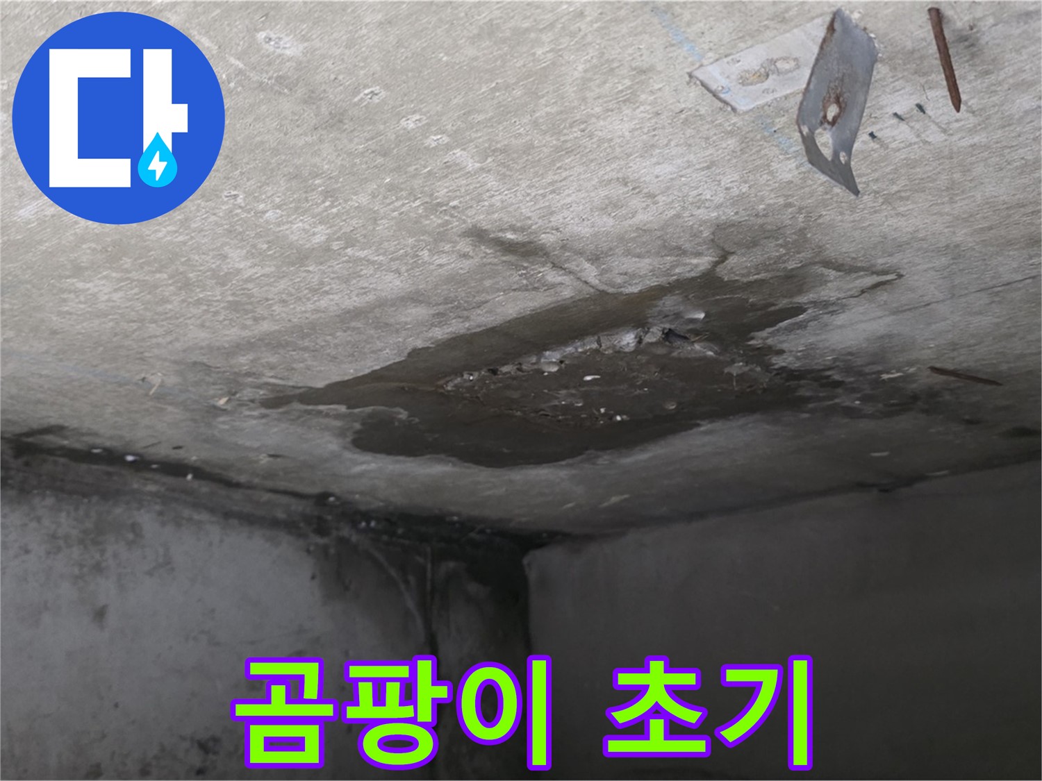 콘크리트 표면 곰팡이 초기 - 남양주 오남 누수