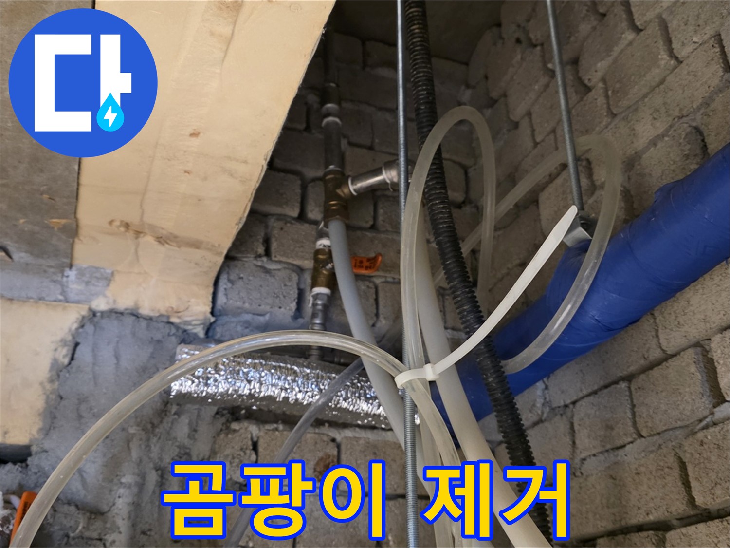 다산동 누수 현장 - 누수 때문에 젖은 벽의 곰팡이까지 깨끗하게 제거해 드립니다 - 쾌적한 환경!