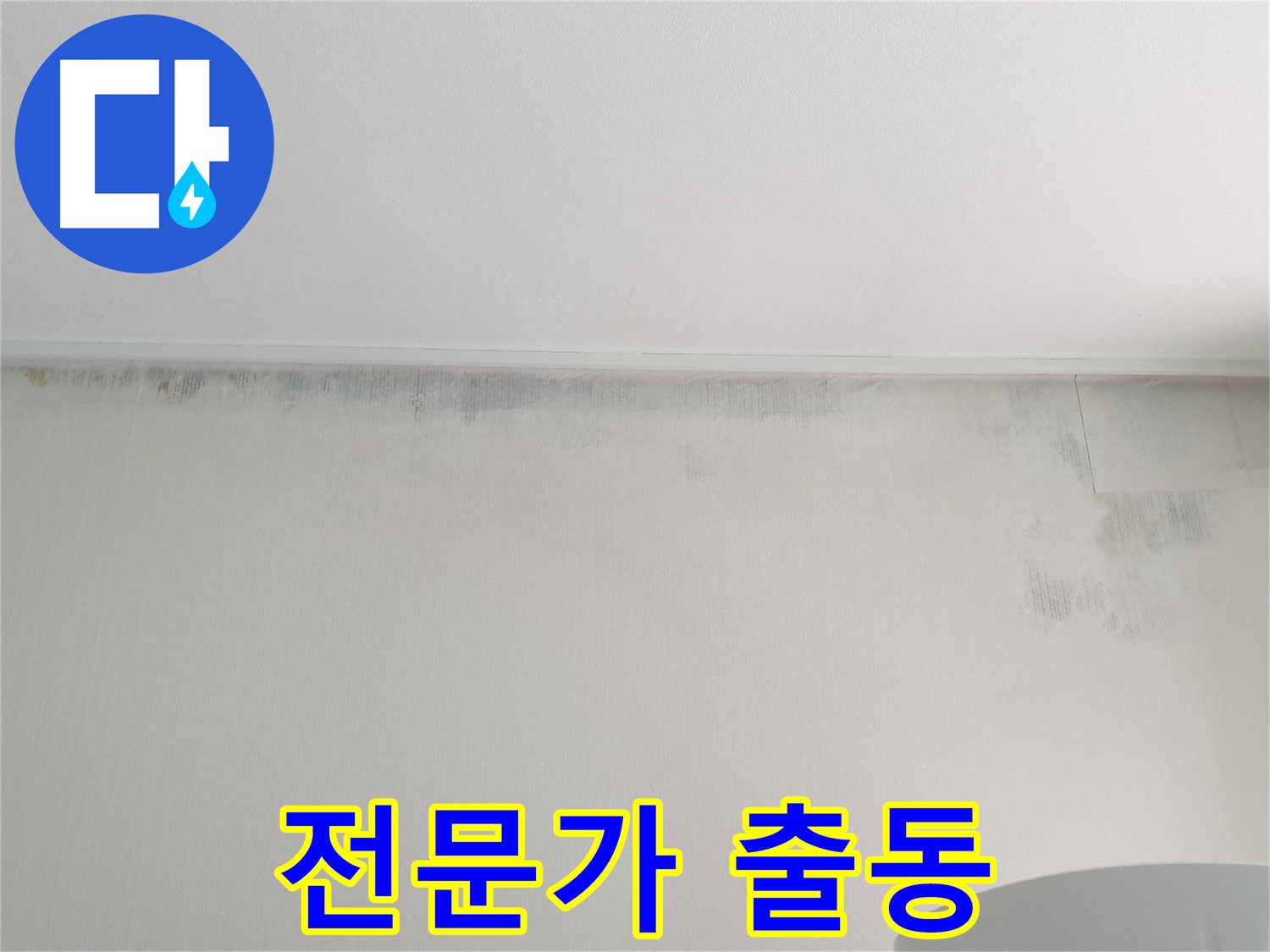 노원구 중계동 곰팡이 - 누수 해결 전문가