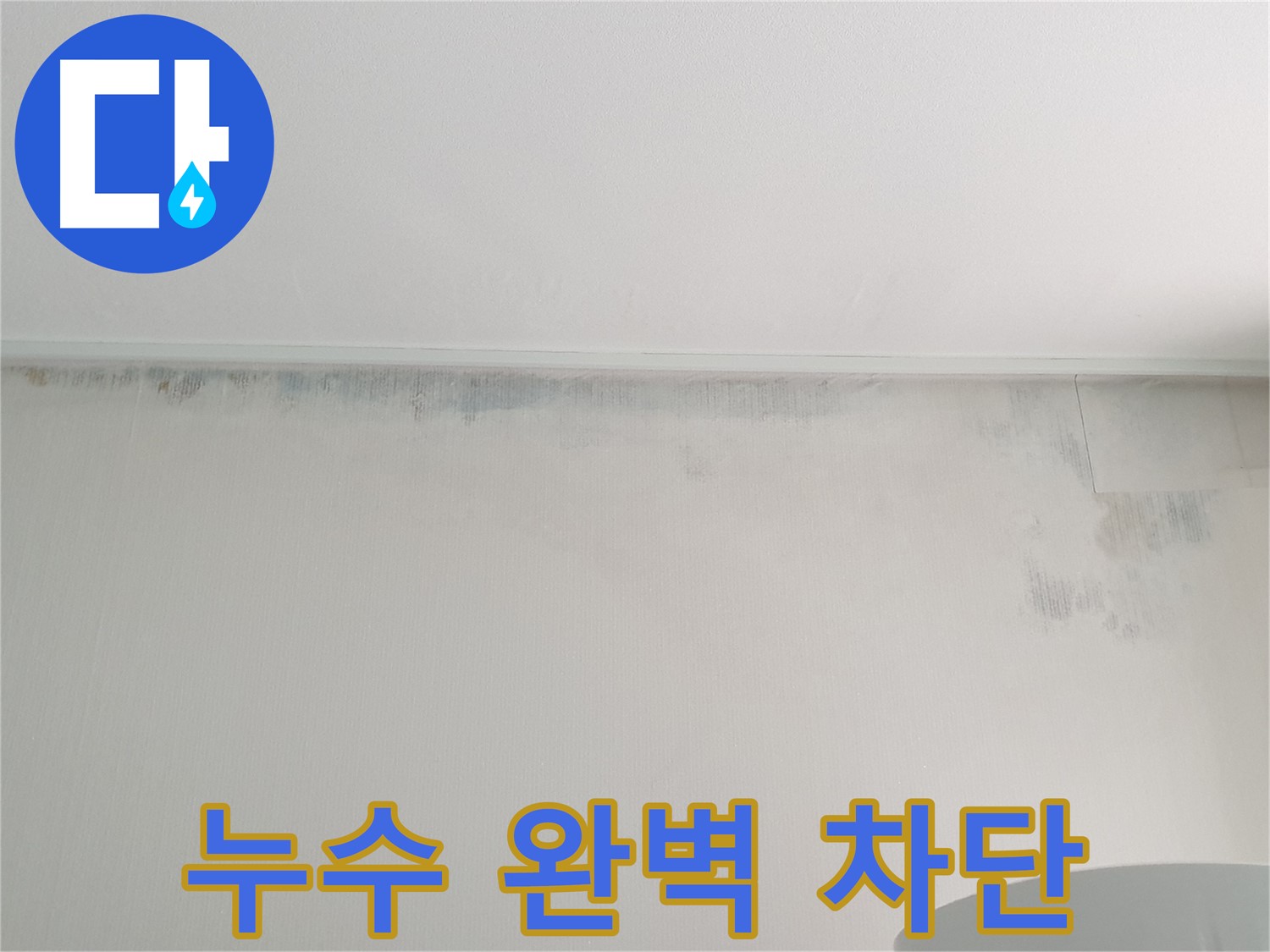 노원구 중계동 아파트 벽 곰팡이 - 누수 완벽 차단 시공