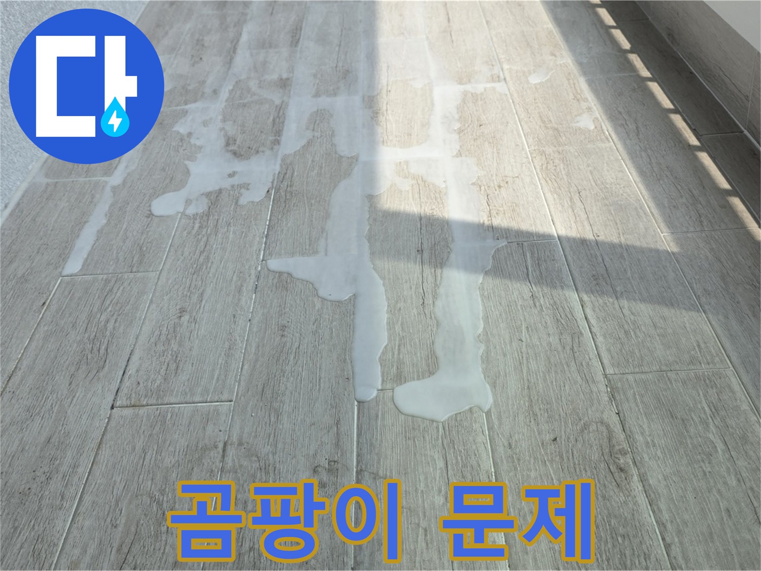 노원구 중계동 청구3차 아파트 베란다 누수 - 물고임과 곰팡이 문제, 빠른 해결이 중요합니다