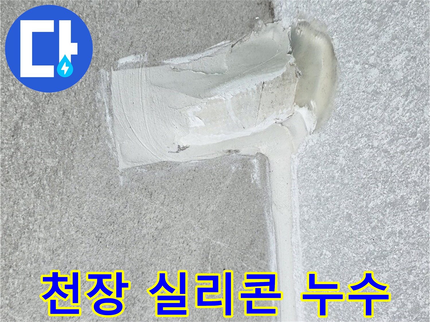노원구 중계동 청구3차 아파트 천장 실리콘 누수 해결 - 꼼꼼 시공