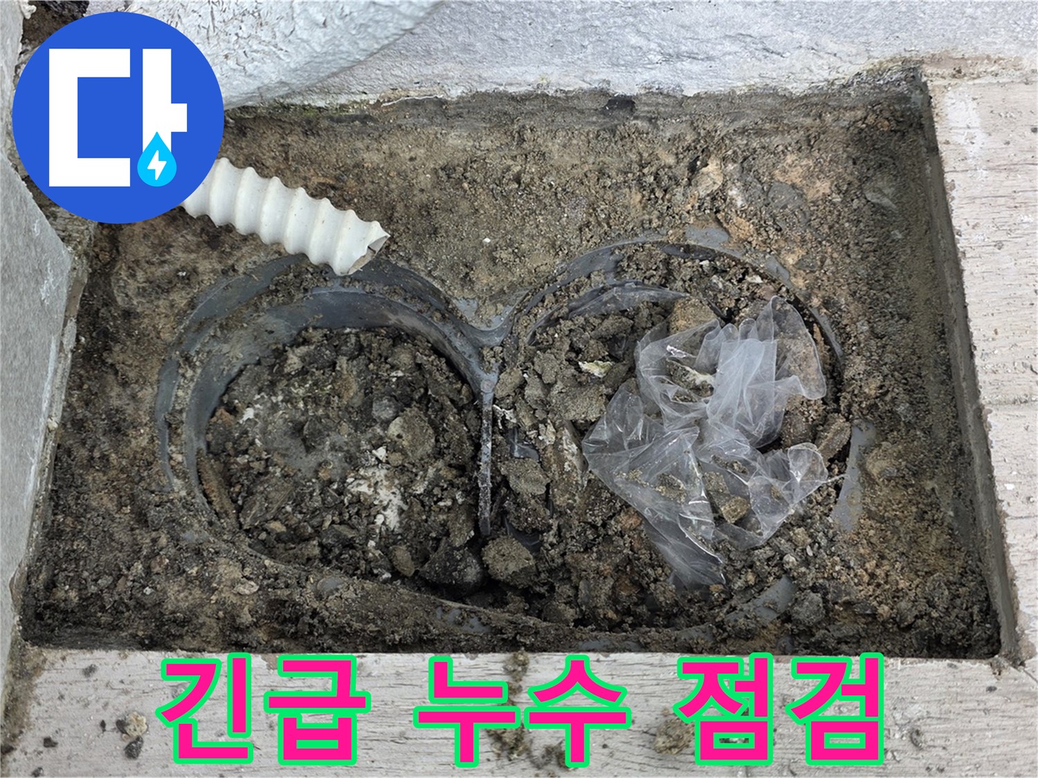 노원구 중계동 청구3차 아파트에서 배수구 주변 누수 긴급 점검을 진행하고 있습니다 - 신속한 점검으로 피해 최소화!