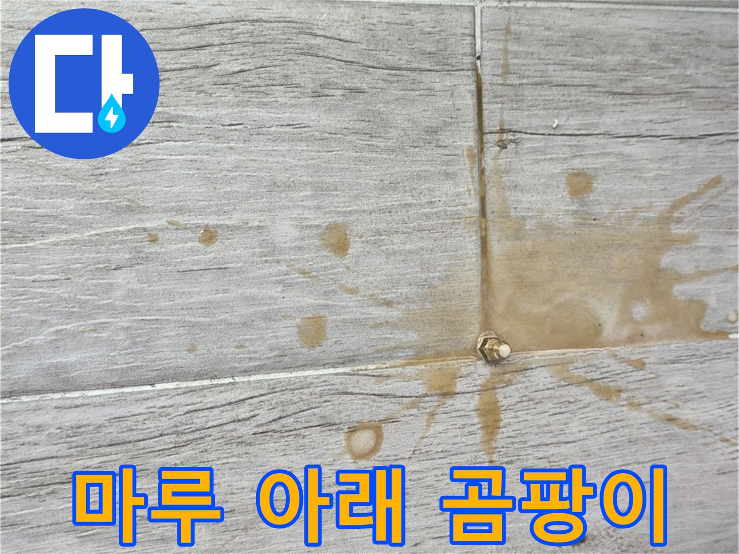 마루 아래에 곰팡이가 번식한 모습 - 인젝션 방수로 안심 시공