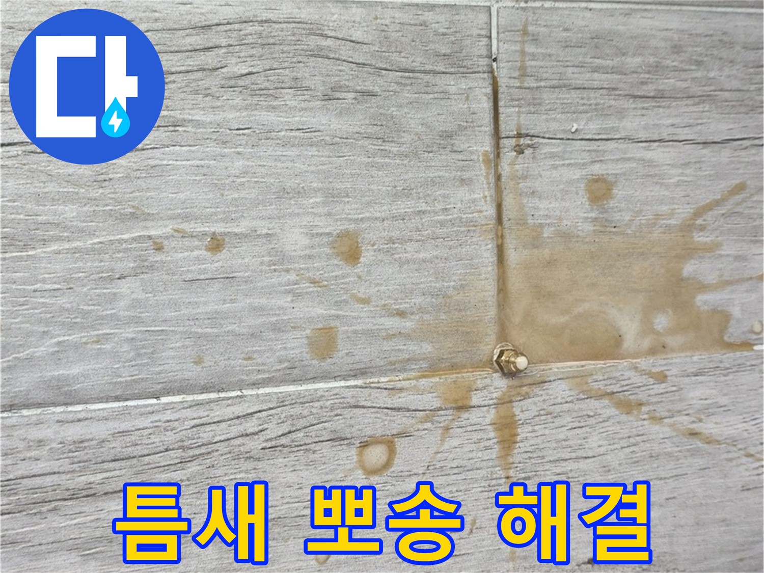 마루 틈새 물기 - 뽀송하게, 곰팡이 걱정 끝!