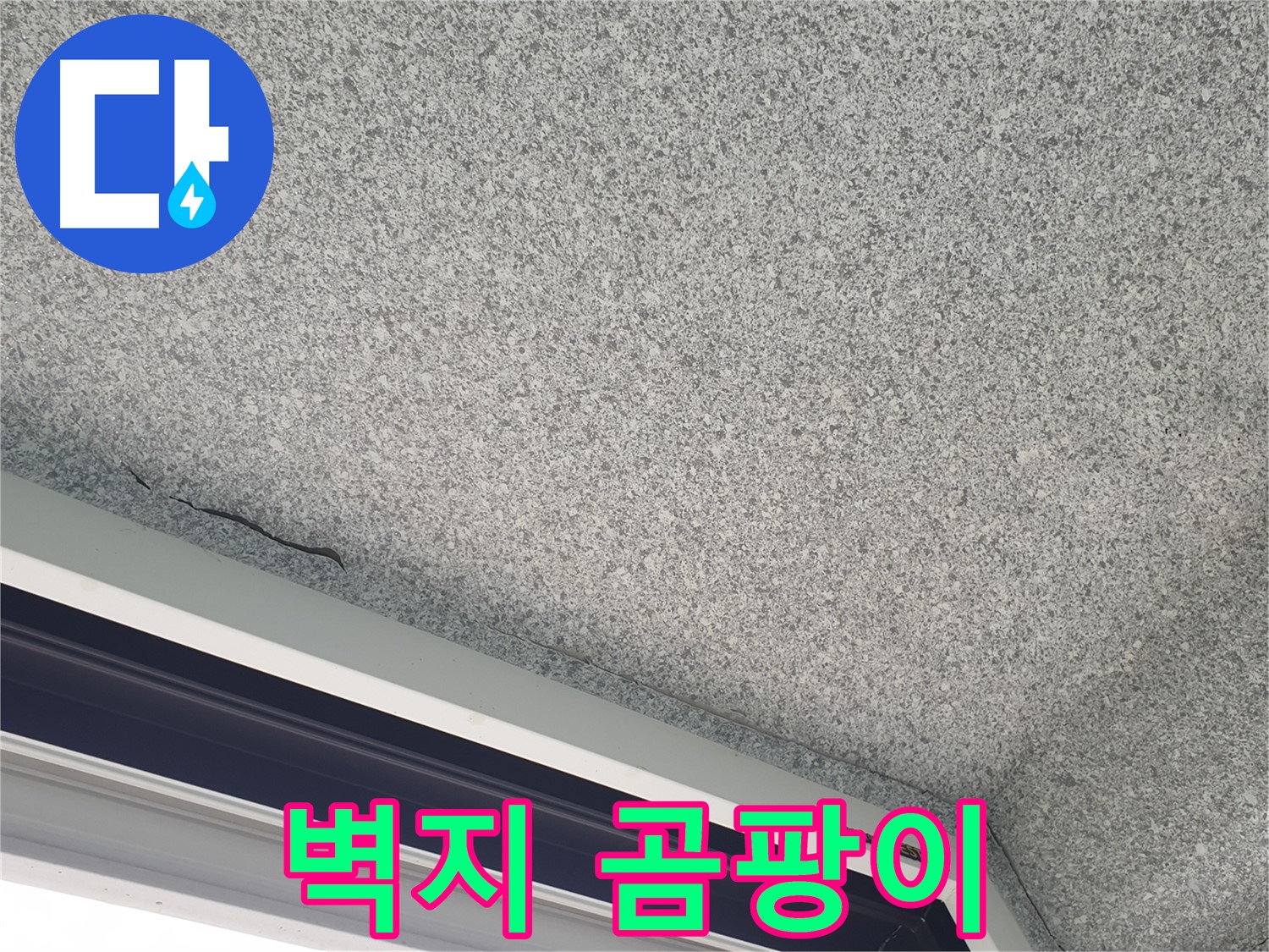 샷시 주변 벽지 곰팡이 - 결로 또는 누수