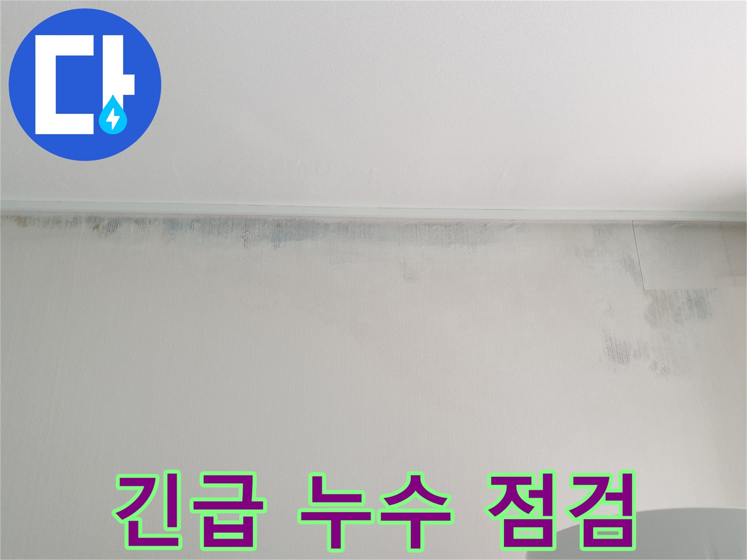 중계2동 청구3차 곰팡이 - 긴급 누수 점검
