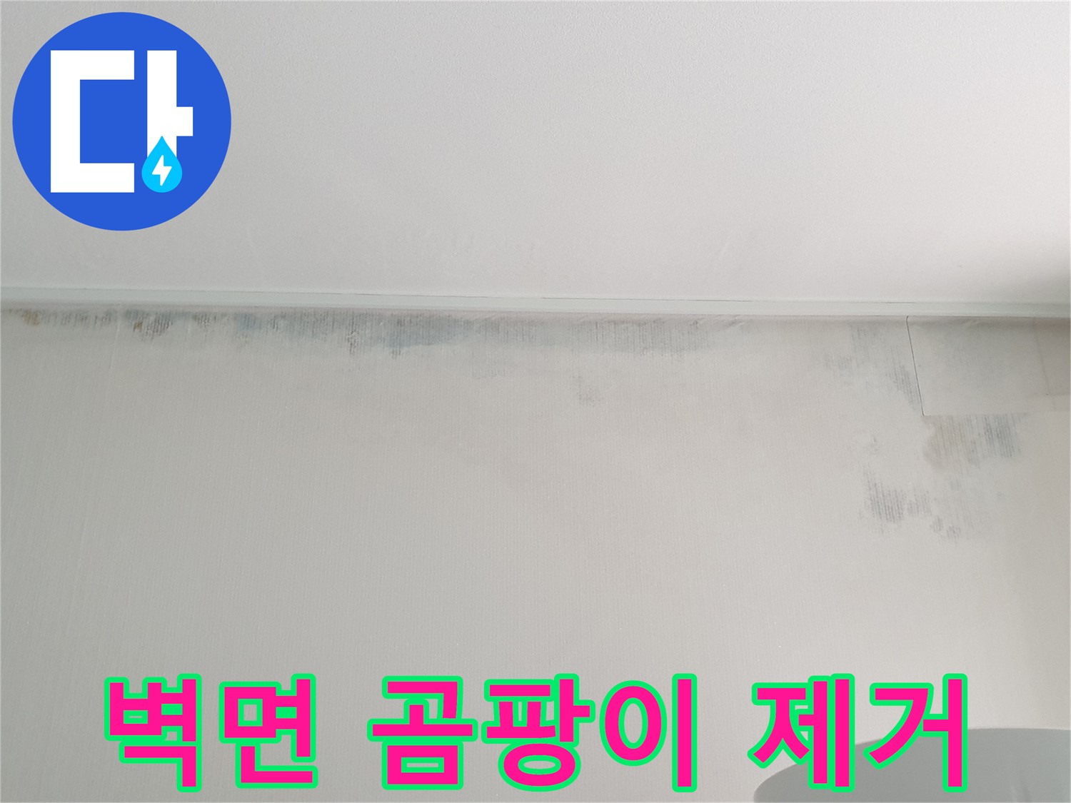 중계2동 청구3차 아파트 - 벽면 전체 곰팡이 긴급 제거