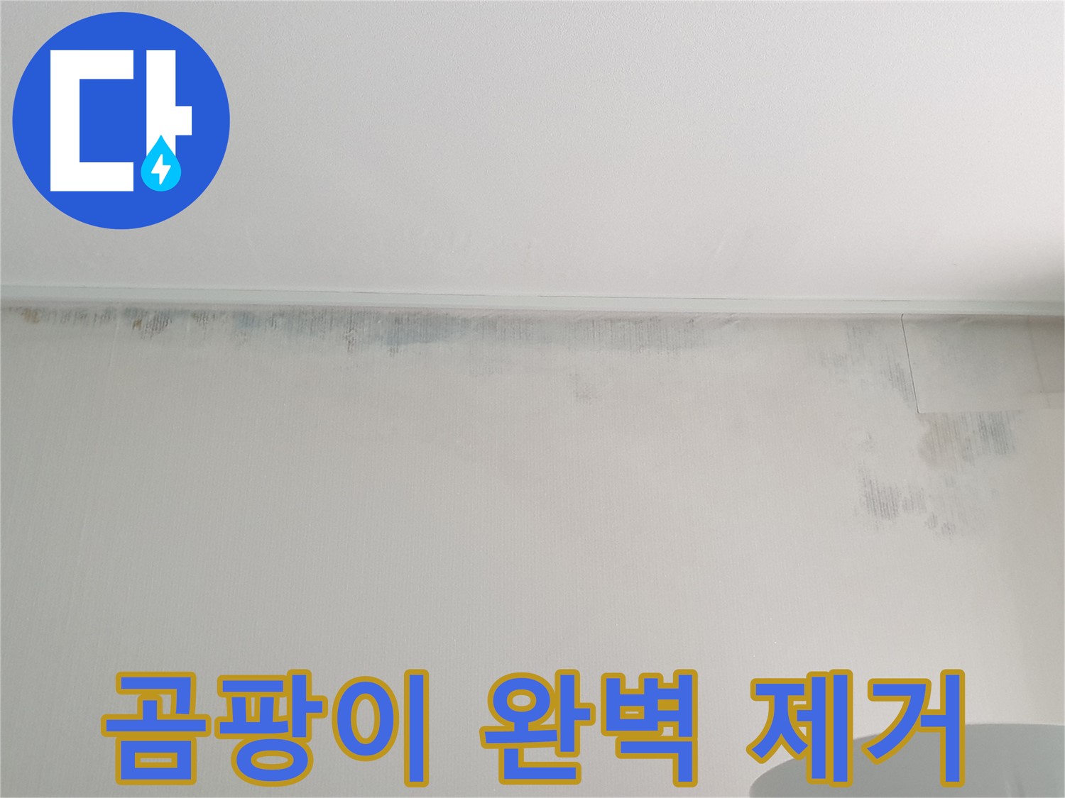 중계동 청구3차 아파트 누수 - 벽 곰팡이 완벽 제거 및 방지
