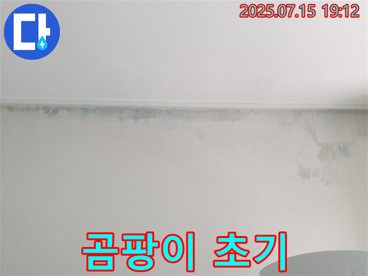 중계동 청구3차 아파트 누수 - 벽에 핀 곰팡이 초기 발견 - 빠른 조치가 필요합니다