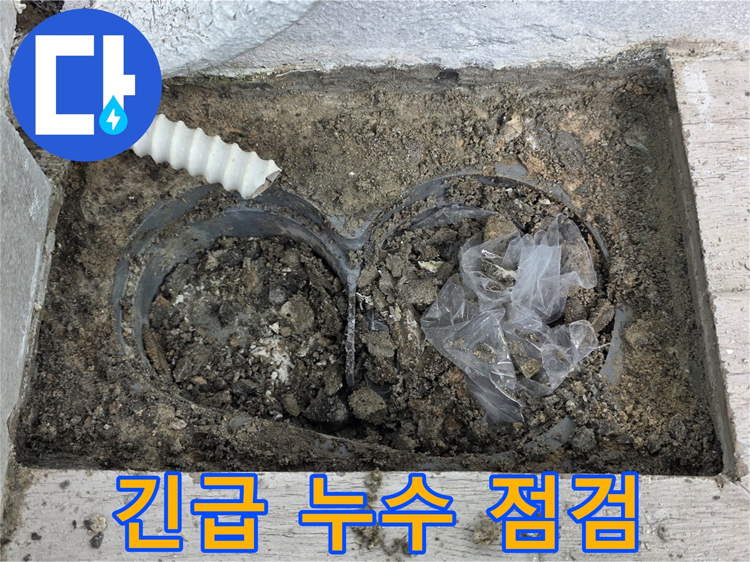 중계동 청구3차 아파트에서 땅속 수도관 누수 긴급 점검을 진행하고 있습니다 - 신속한 점검으로 피해 최소화!