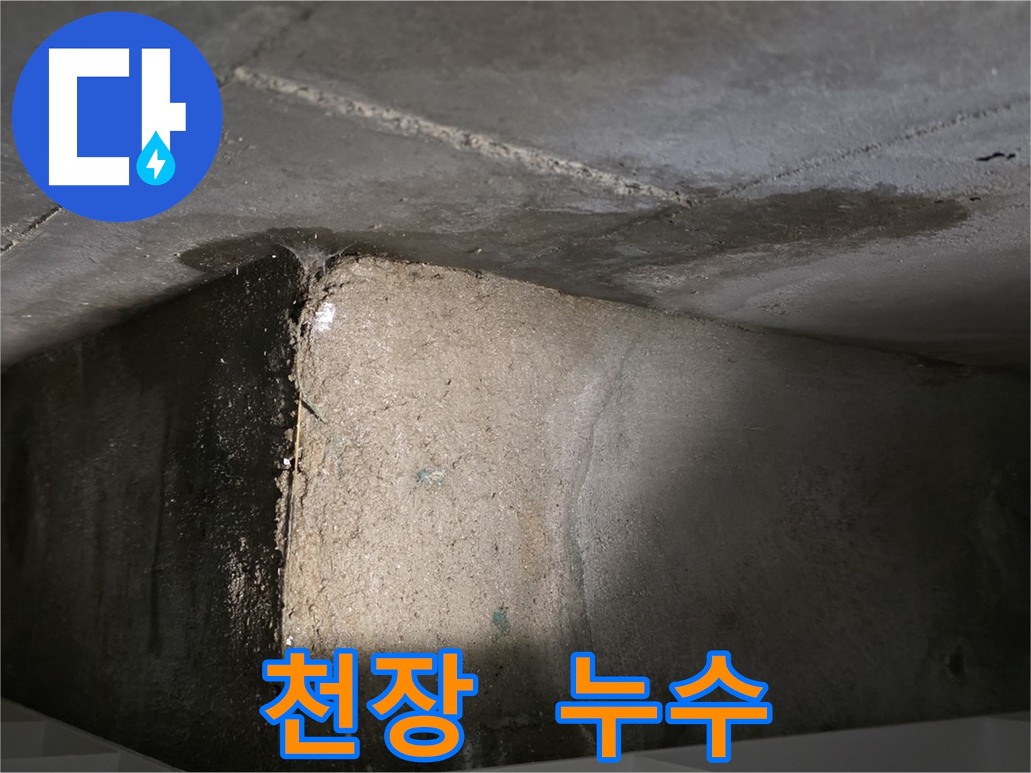 김포 장기동 누수 - 천장에서 누수가 발생하는 모습