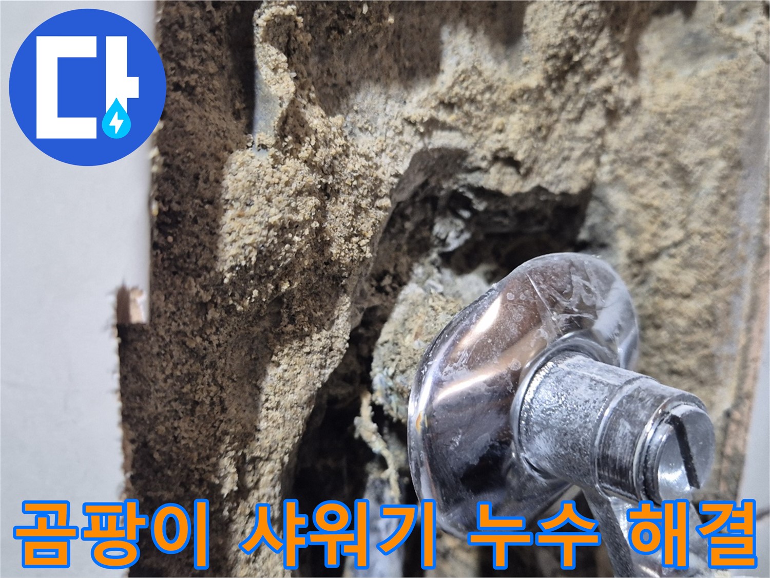 마포구 합정동 현대빌라 - 곰팡이 핀 샤워기 주변 누수 해결