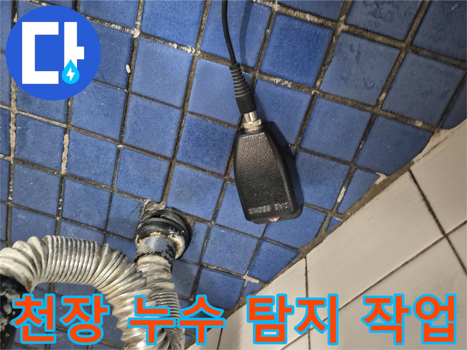 합정동 현대빌라 누수탐지 - 욕실 천장 누수 해결을 위한 꼼꼼한 탐지 작업