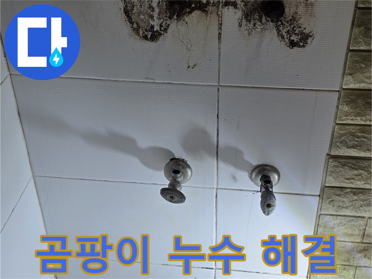노원구 상계동 곰팡이 핀 욕실 - 누수 원인 해결부터 곰팡이 제거까지 완벽하게 책임집니다.