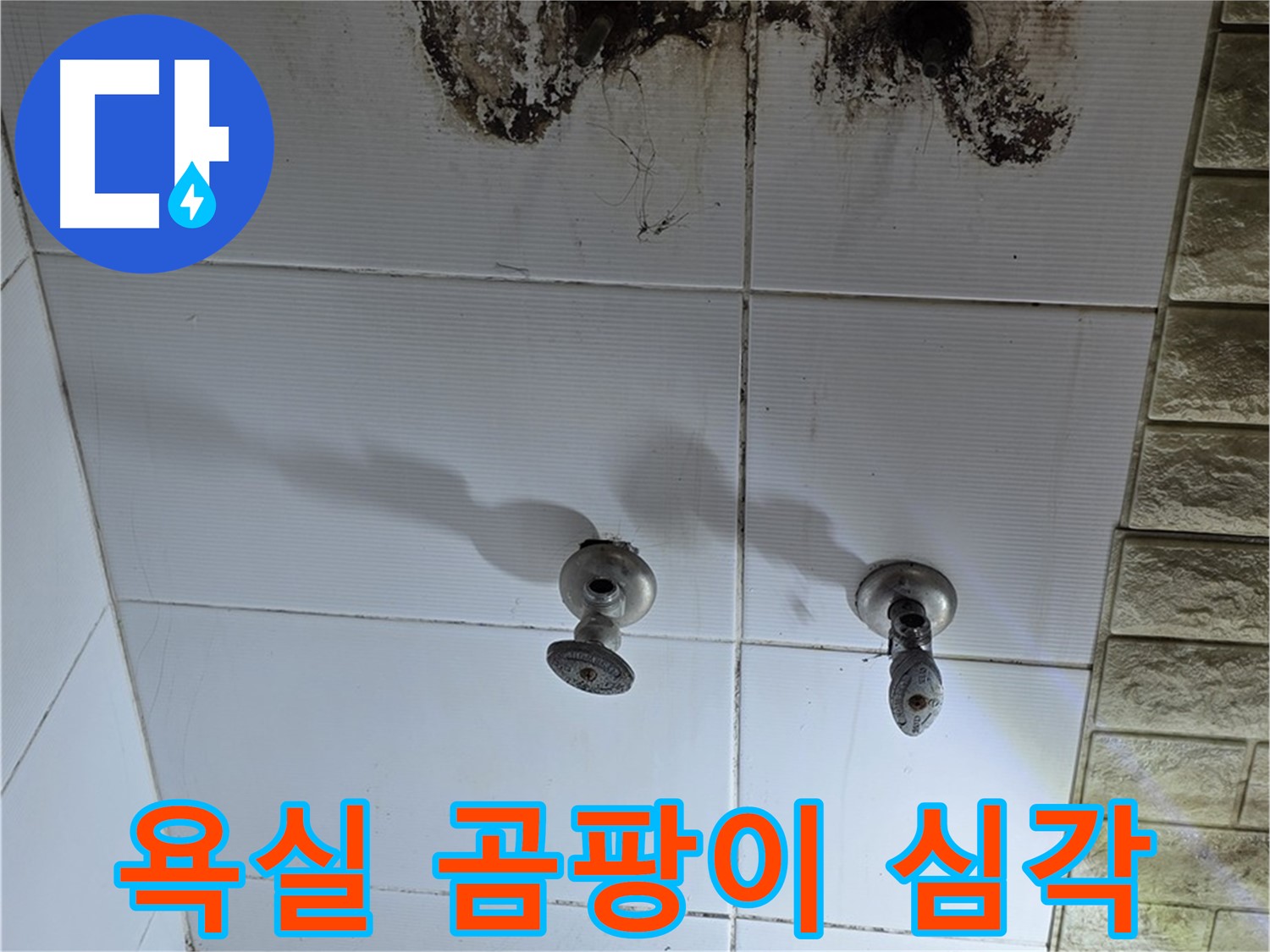 노원구 상계동 욕실 곰팡이 - 누수탐지 전문가가 긴급 점검 및 해결합니다.