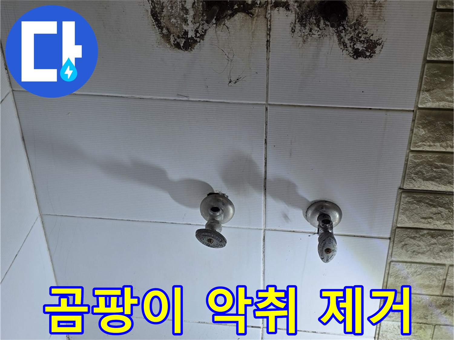 노원구 욕실 곰팡이 악취 - 누수 원인을 해결하고 곰팡이 냄새까지 완벽하게 제거해 드립니다.