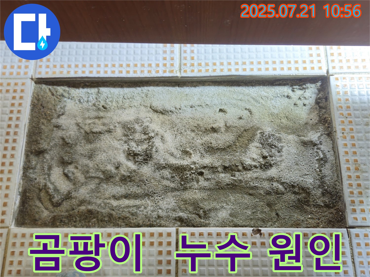 상계동 누수 - 세면대 주변 곰팡이 원인 - 누수 해결이 우선