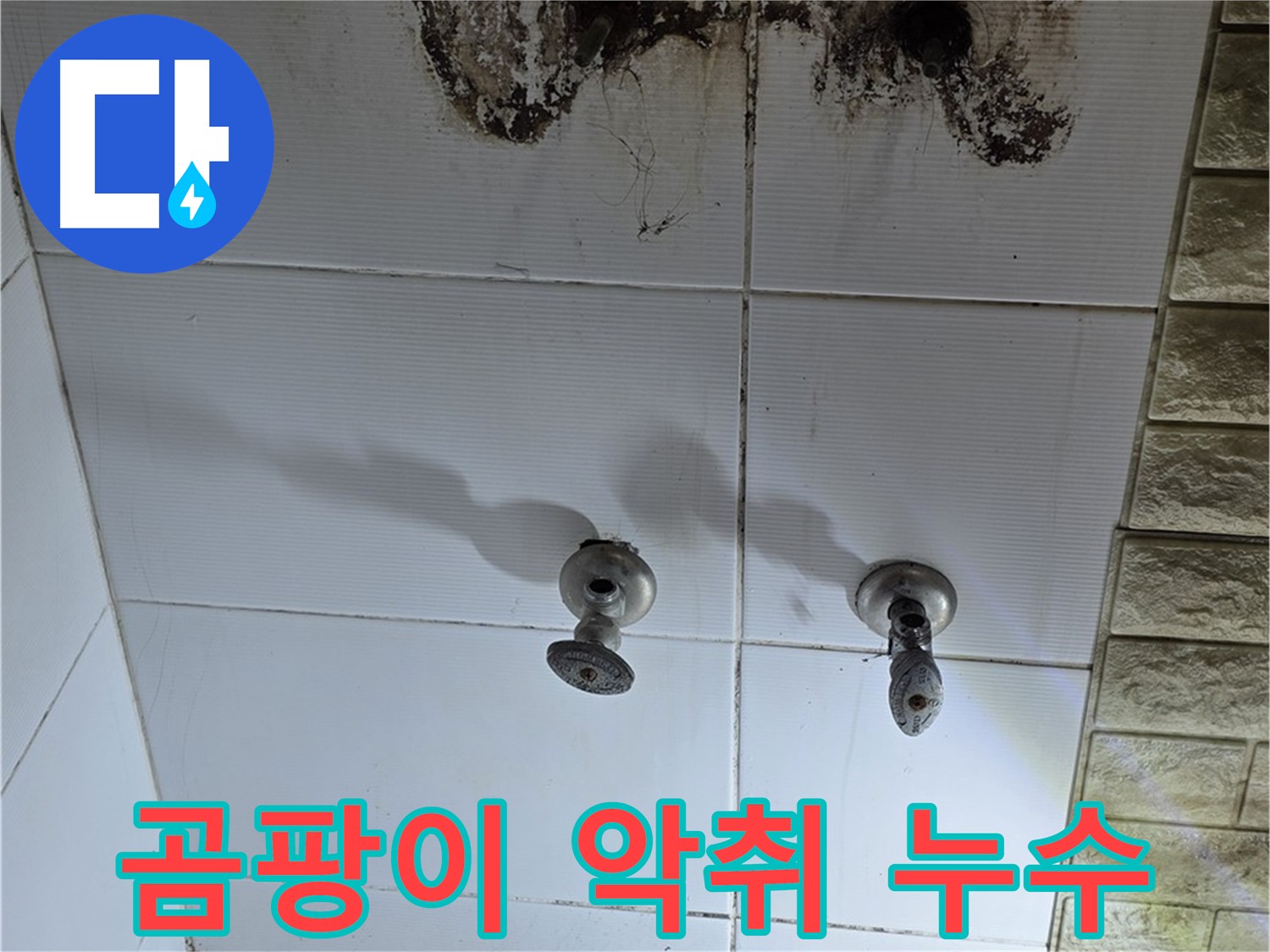 상계동 빌라 욕실 곰팡이 악취 - 누수 원인을 해결하고 곰팡이 냄새까지 완벽하게 제거해 드립니다.