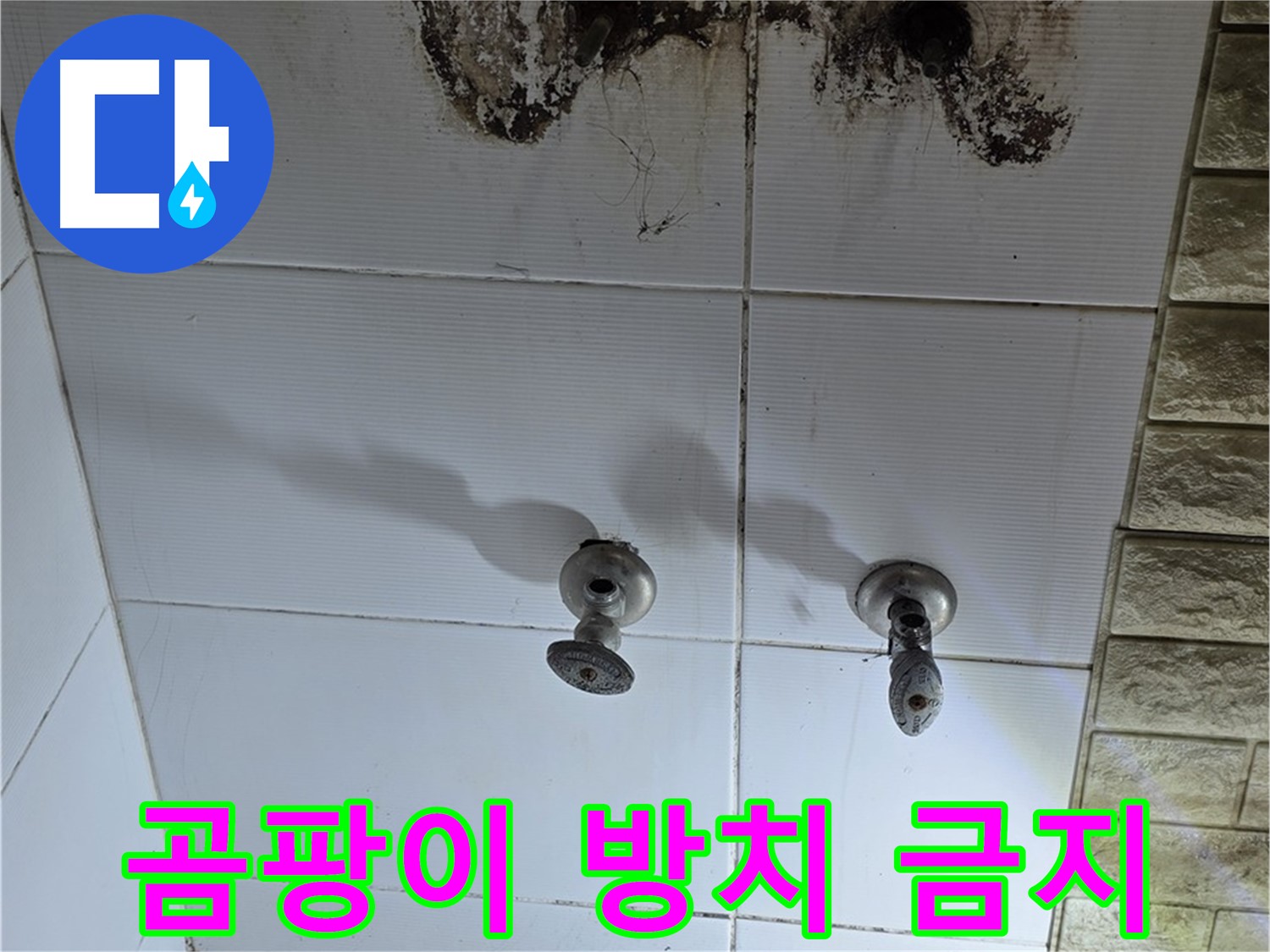 상계동 욕실 곰팡이 방치 금지 - 빠른 점검과 해결로 건강하고 쾌적한 욕실을 만드세요.