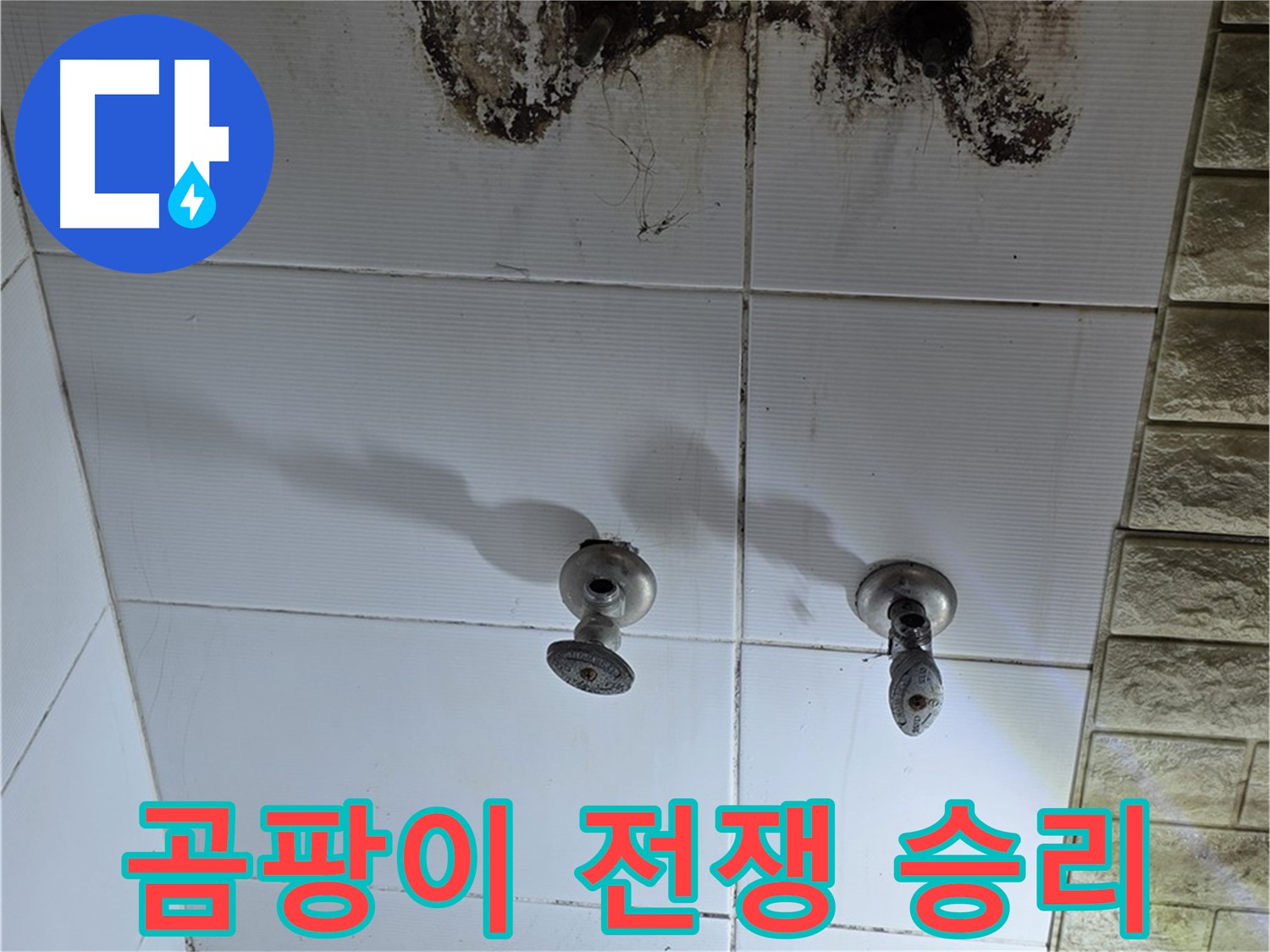상계동 욕실 곰팡이와의 전쟁 - 누수 원인을 뿌리 뽑고 곰팡이를 박멸합니다.