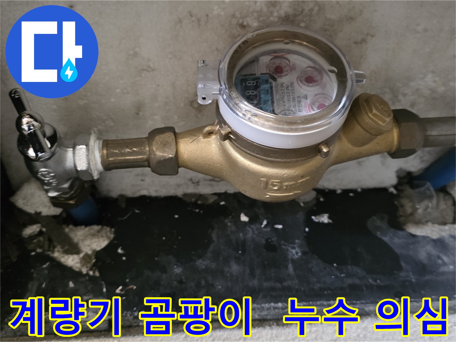 계량기 주변 곰팡이 발견 - 남양주 누수탐지 전문