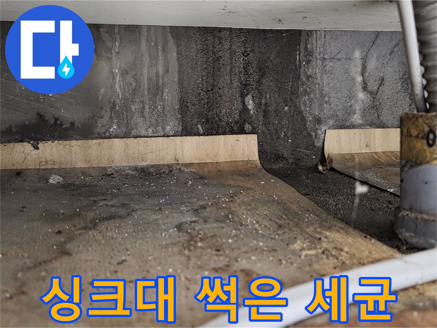 싱크대 누수 - 썩은 하부장 세균