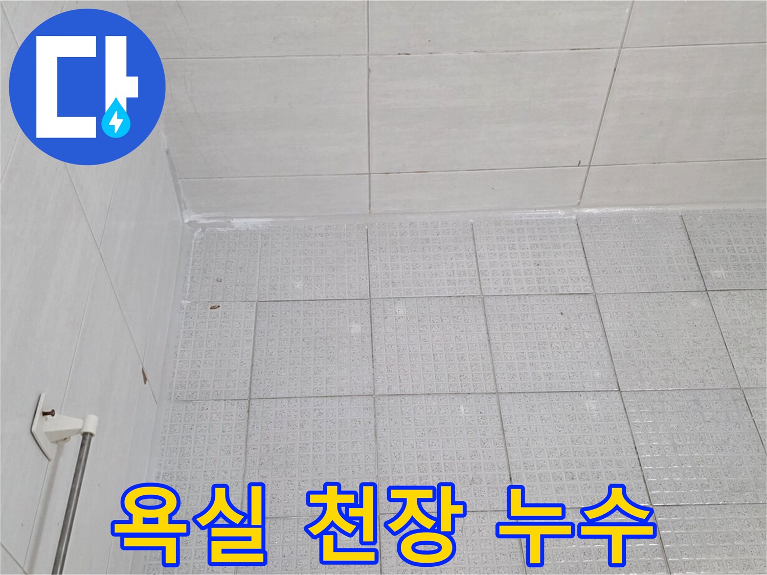 과천 욕실 천장 누수 - 누수 전문가의 정확한 원인 분석과 완벽한 해결