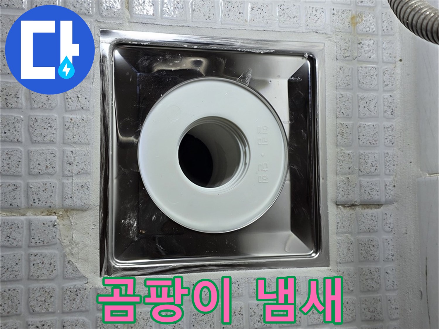 욕실 배수구 주변 곰팡이 냄새 - 누수와 건강에 적신호가 켜졌습니다.