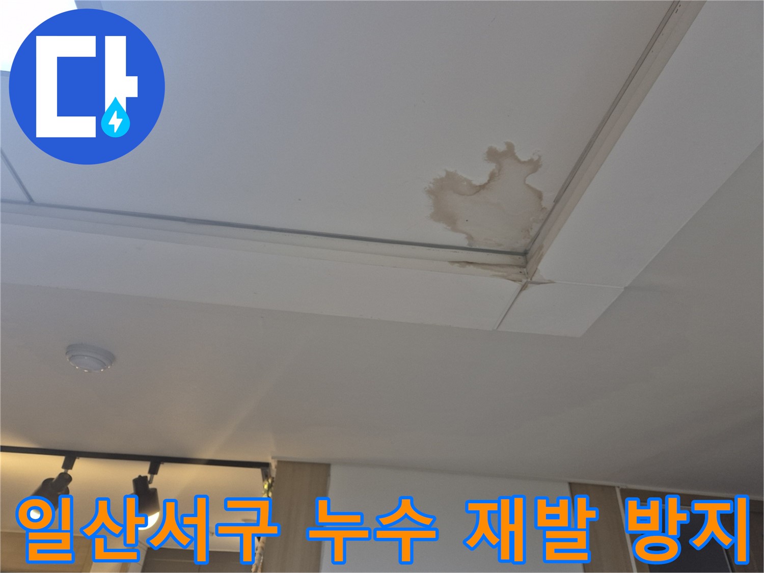 고양시 일산서구 천장 누수 - 정확한 진단 - 재발 없는 완벽 시공 약속