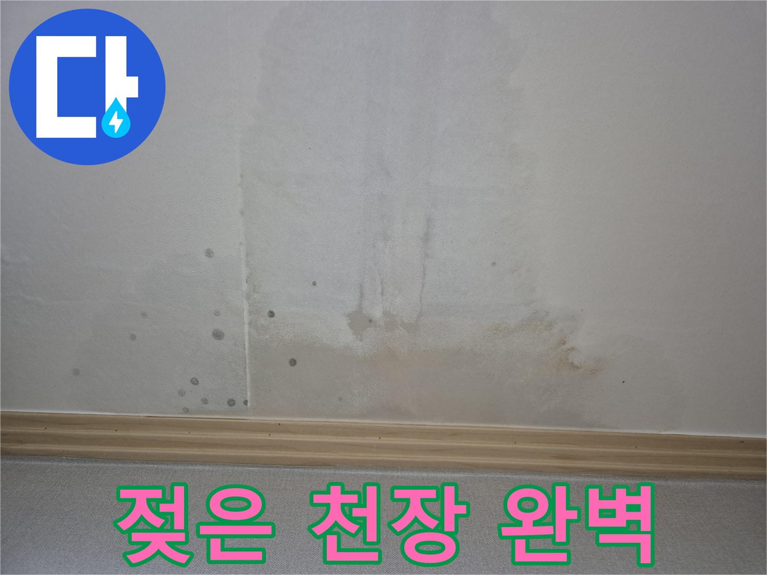 젖은 천장 완벽 해결 - 숙련된 기술로 완벽하게 시공하는 모습