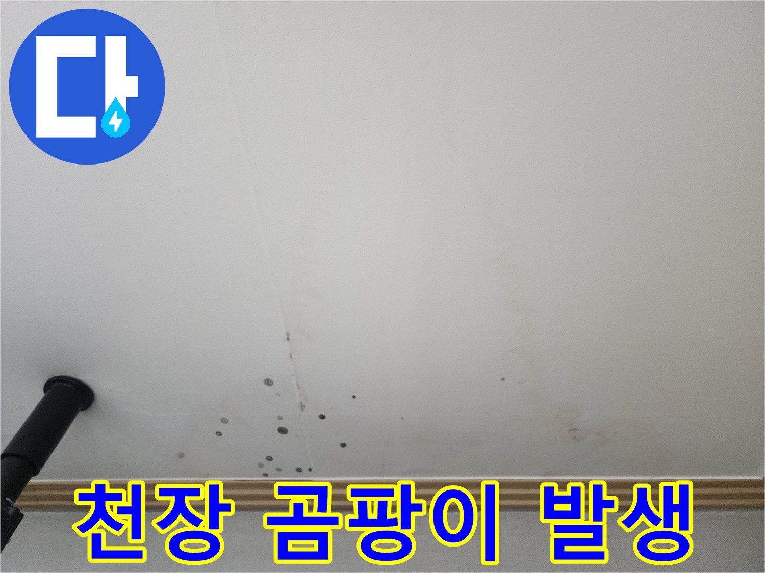 천장 곰팡이 발생 - 곰팡이 냄새의 주범은 누수일 수 있습니다.