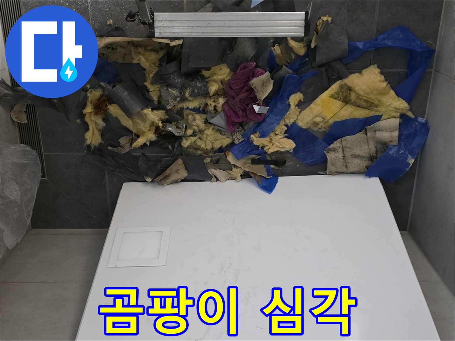 노원구 중계동 라이프청구신동아 108동 욕실 천장 누수 - 젖은 단열재의 심각한 곰팡이 상태