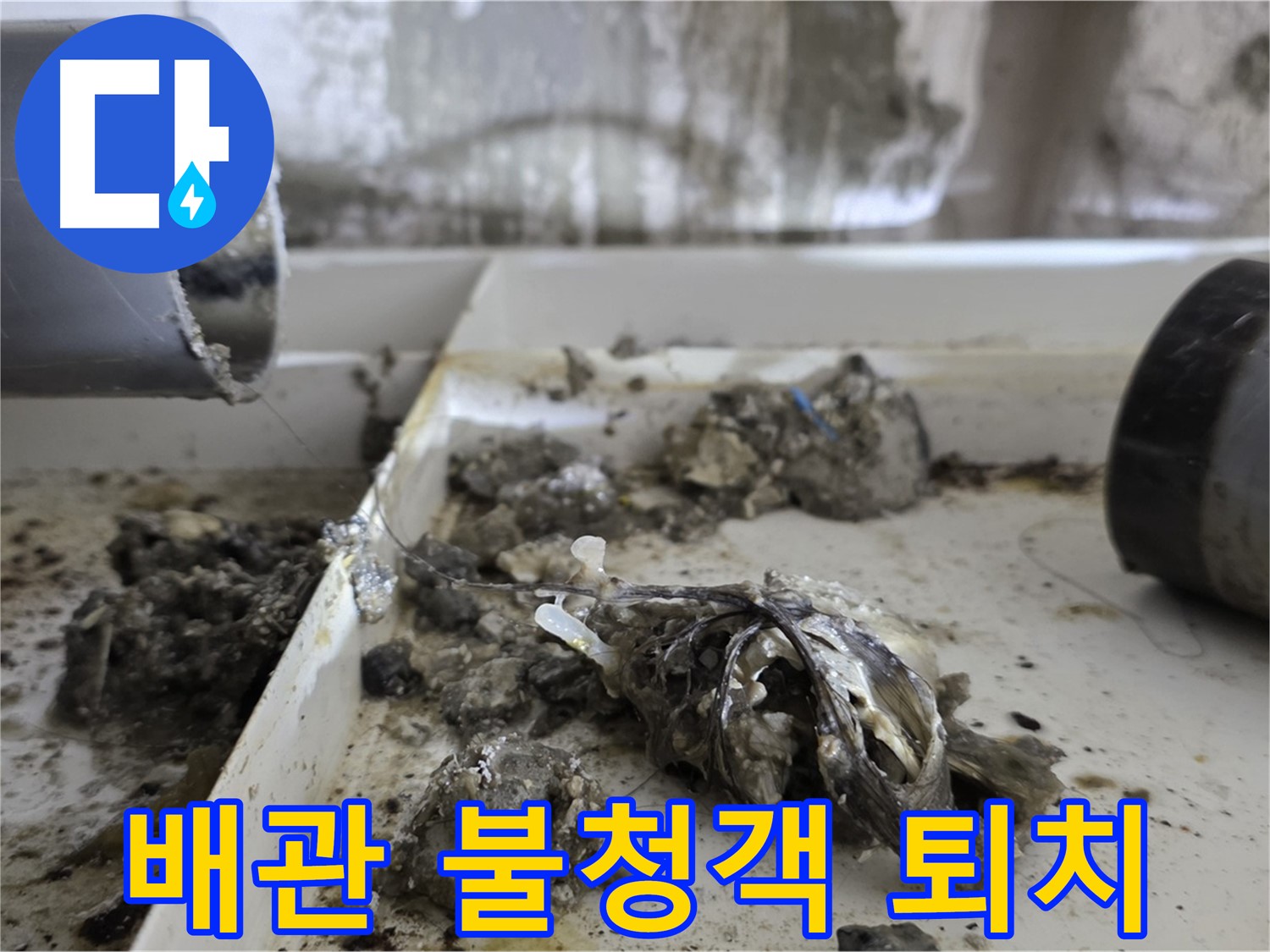 노원구 중계동 라이프청구신동아아파트 - 배관 속 '불청객' 퇴치, 누수 해결 작전 개시