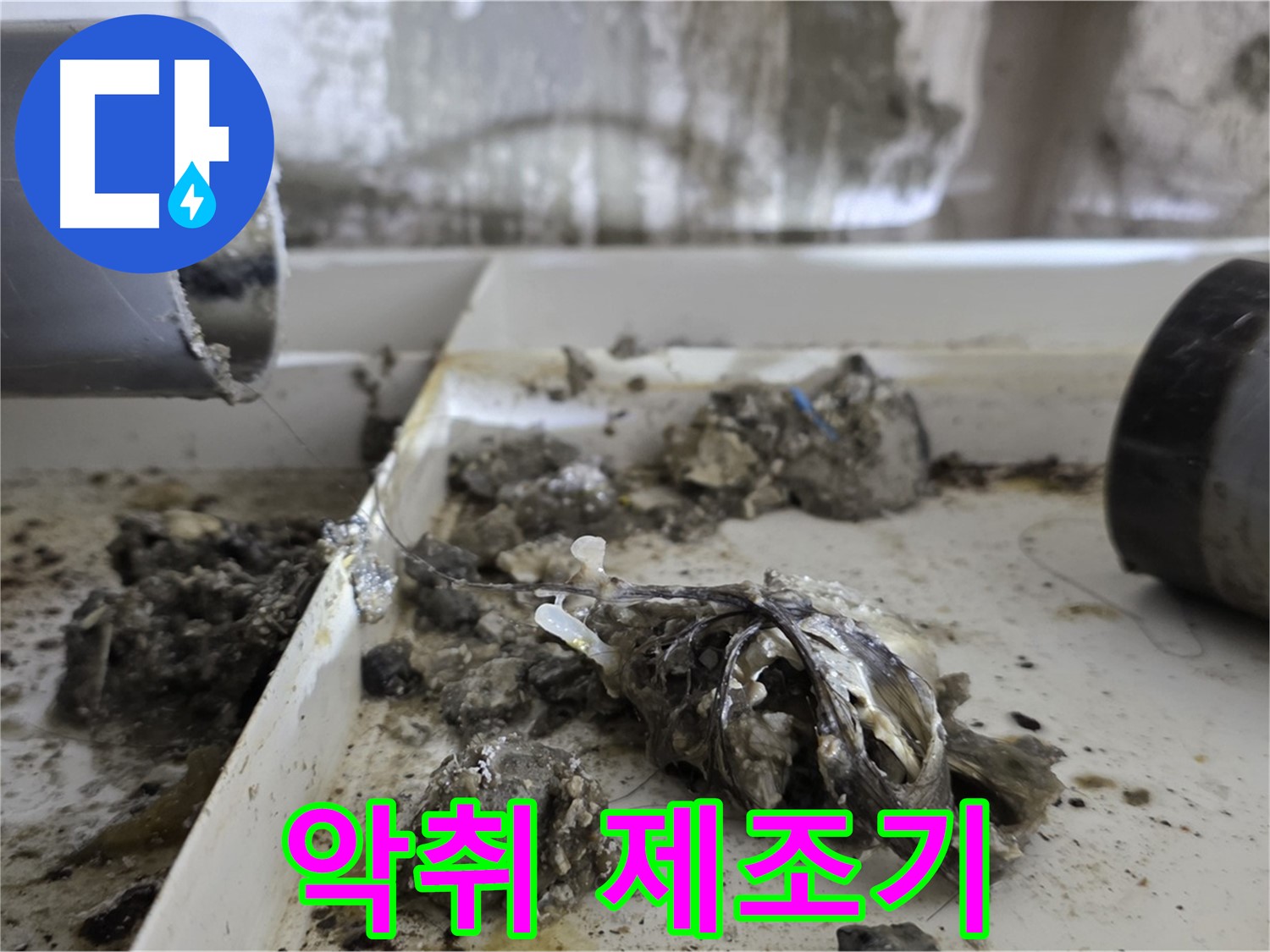 노원구 중계동 라이프청구신동아아파트 - 배관 속 악취 제조기 제거 - 쾌적한 환경