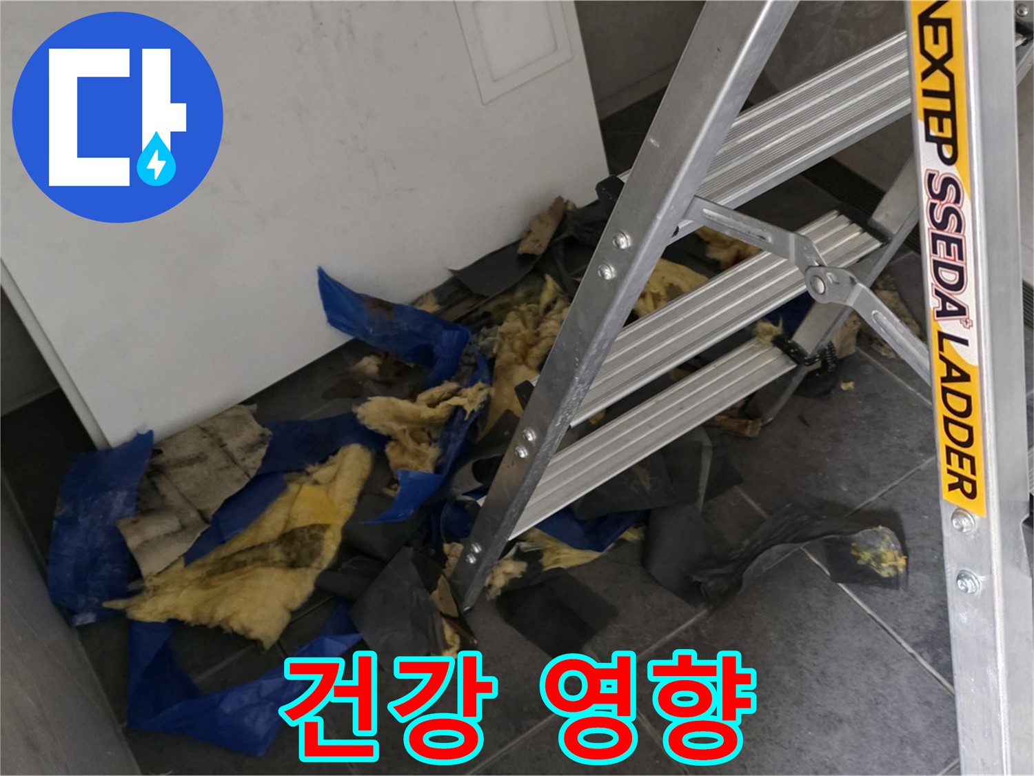 중계동 라이프청구신동아 아파트 누수 - 곰팡이 단열재가 건강에 미치는 영향
