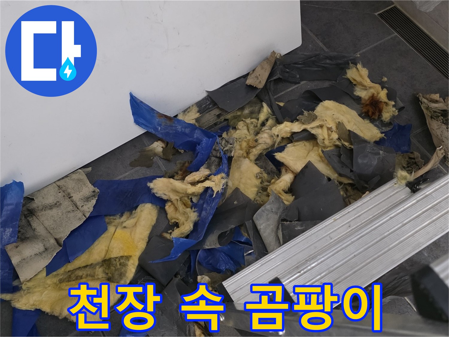 중계동 라이프청구신동아 아파트 - 천장 속 곰팡이 확인 및 건강 위협