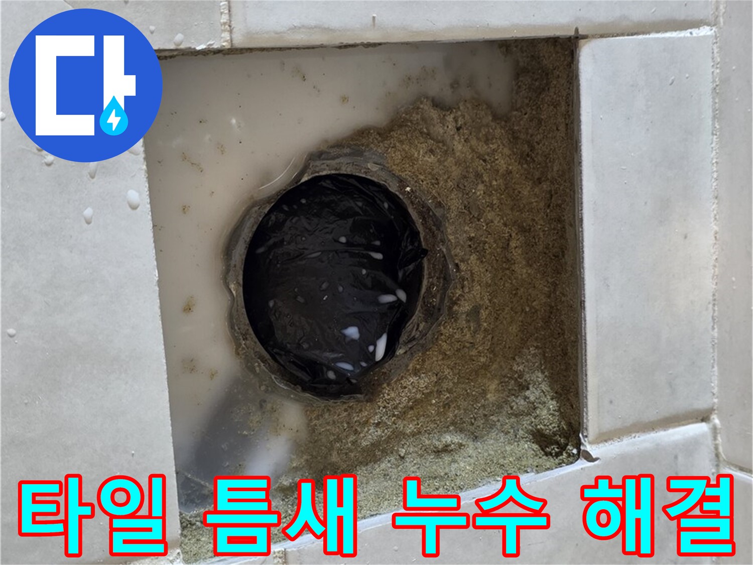 과천 문원동 베란다 하수구 주변 타일 틈새 누수 - 틈새의 물기, 꼼꼼한 점검과 완벽한 해결