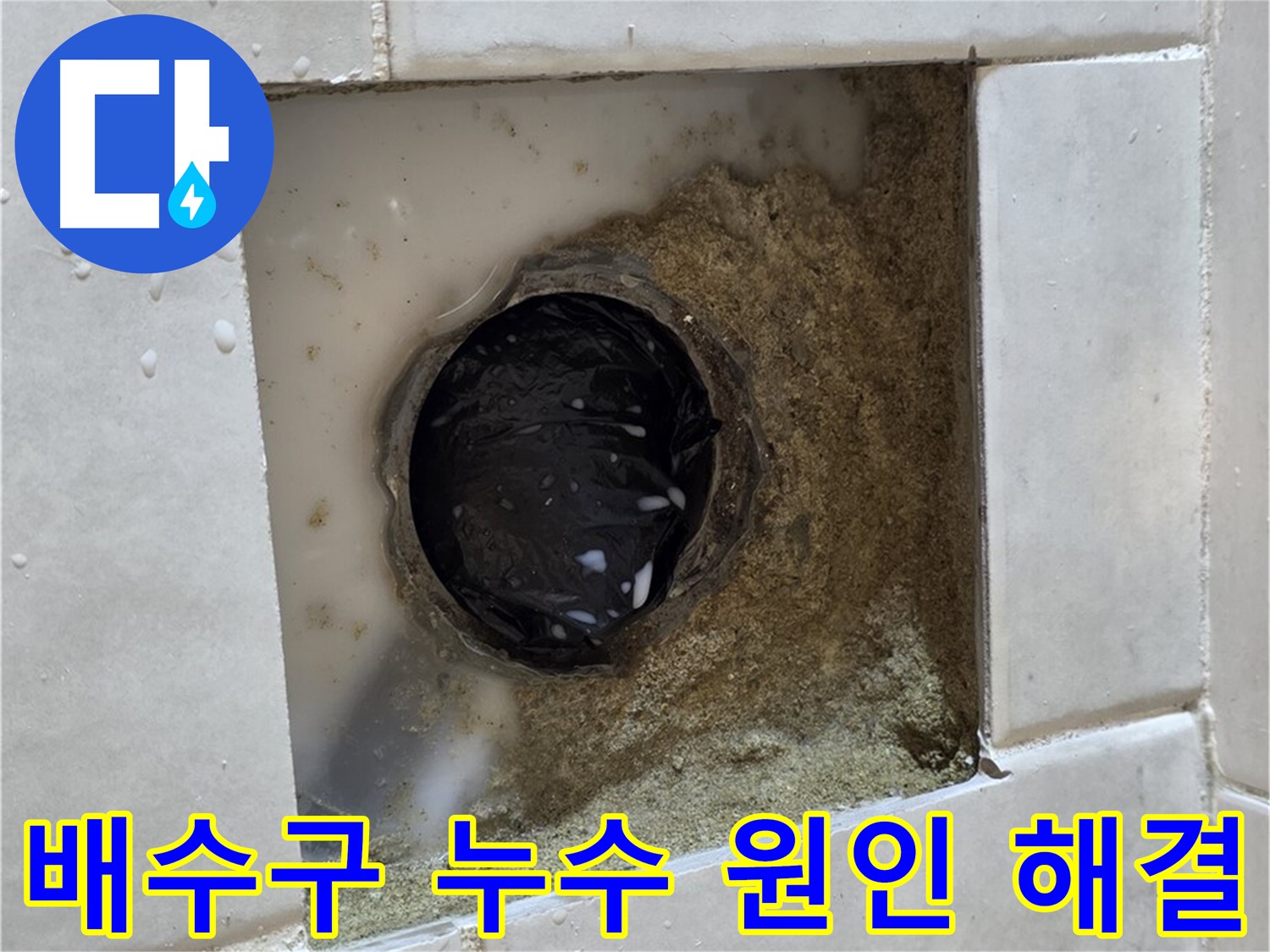 과천 문원동 욕실 배수구 누수 - 낡은 배수구와 주변의 습기, 정확한 원인 파악과 완벽한 해결