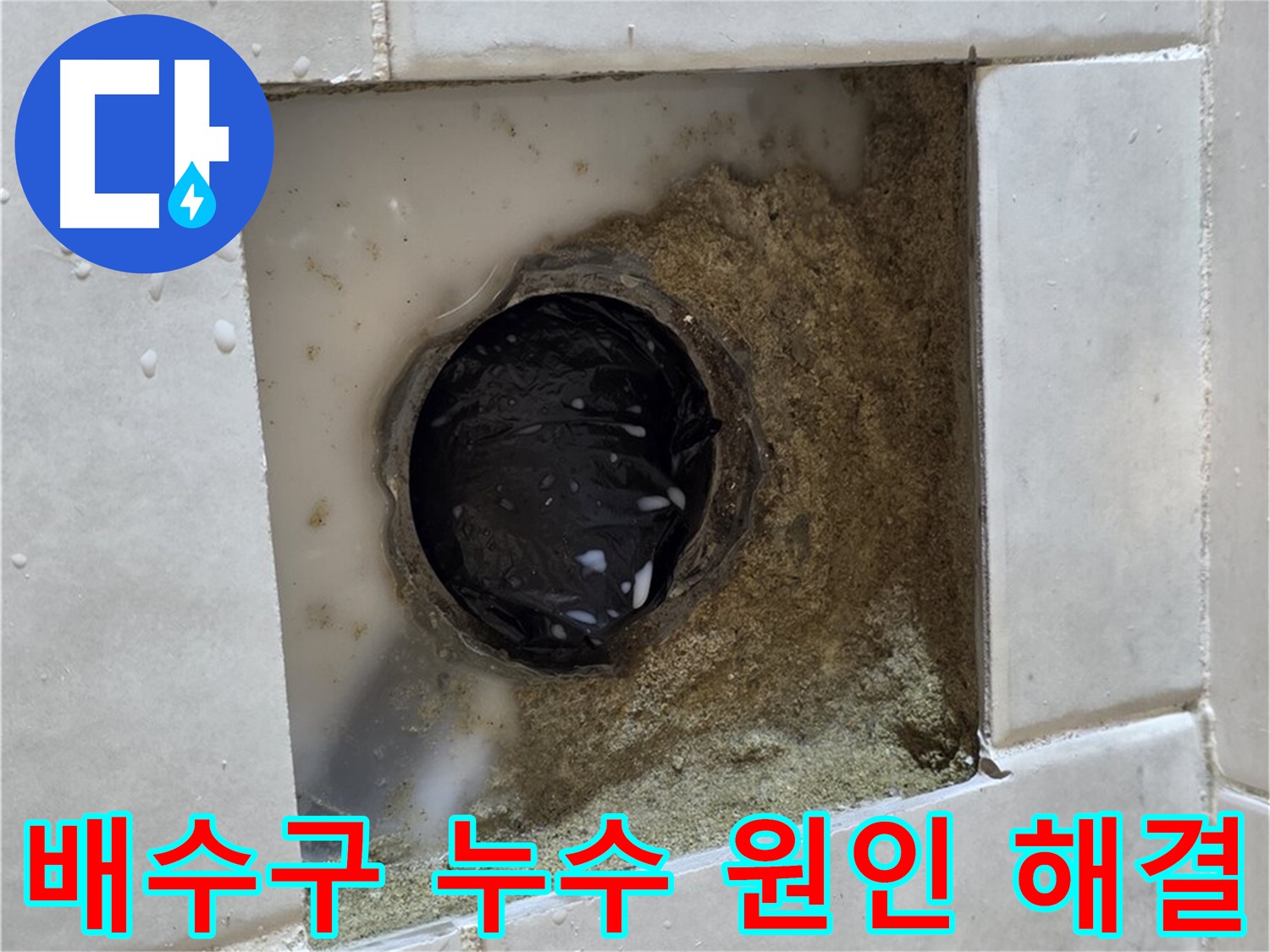 과천 문원동 욕실 배수구 누수 - 낡은 배수구와 주변의 습기, 정확한 원인 파악과 완벽한 해결
