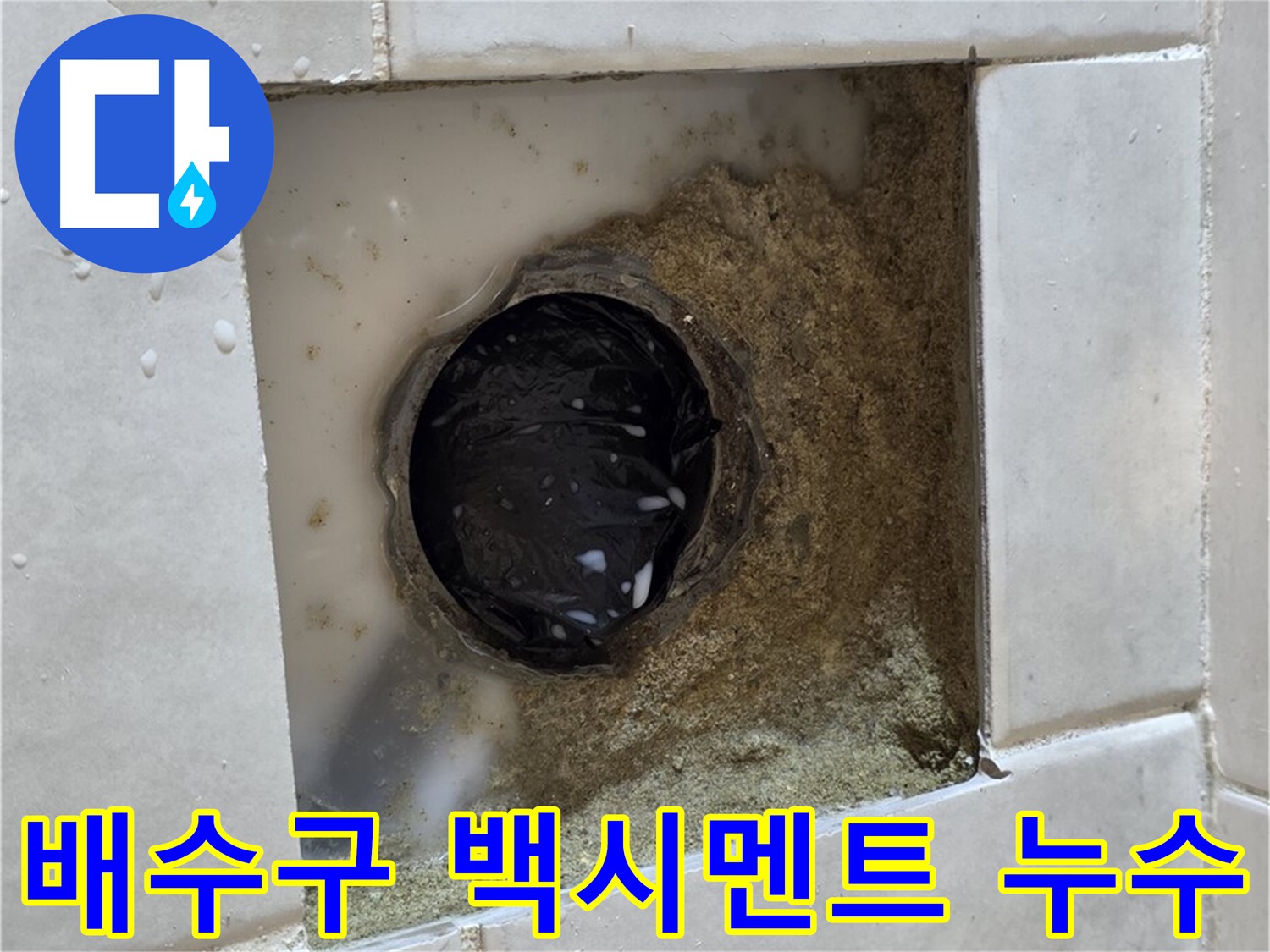 과천 문원동 욕실 배수구 주변 백시멘트 들뜸 누수 - 낡은 백시멘트와 누수 흔적, 신속한 누수 진단과 완벽한 해결