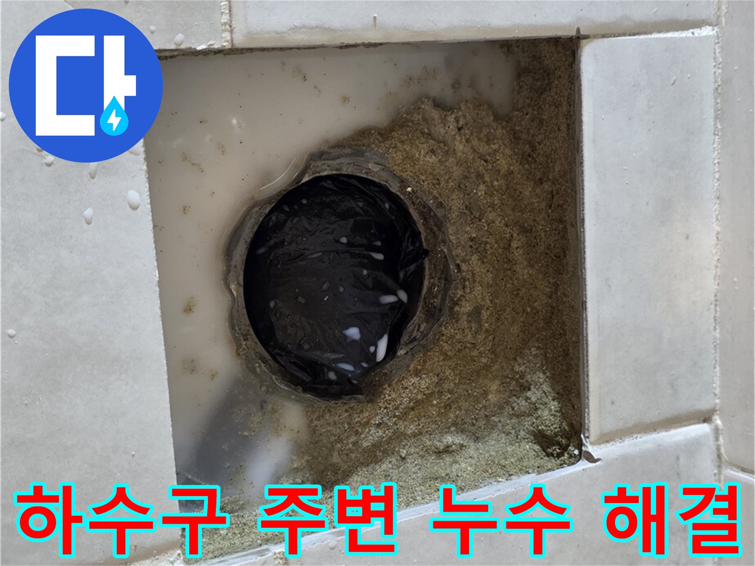 과천 문원동 욕실 하수구 주변 누수 - 물이 고여있는 하수구, 신속하고 정확하게 해결