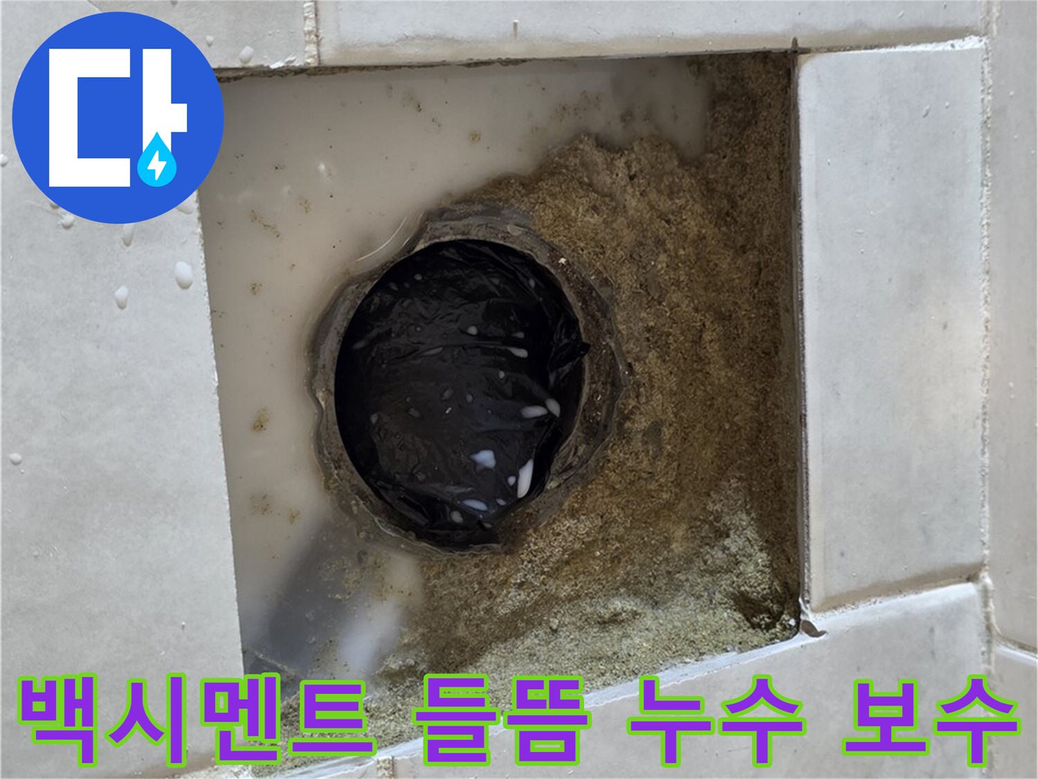 과천 문원동 욕실 하수구 주변 백시멘트 들뜸 누수 - 들뜬 백시멘트 틈새, 완벽한 보수로 누수 차단