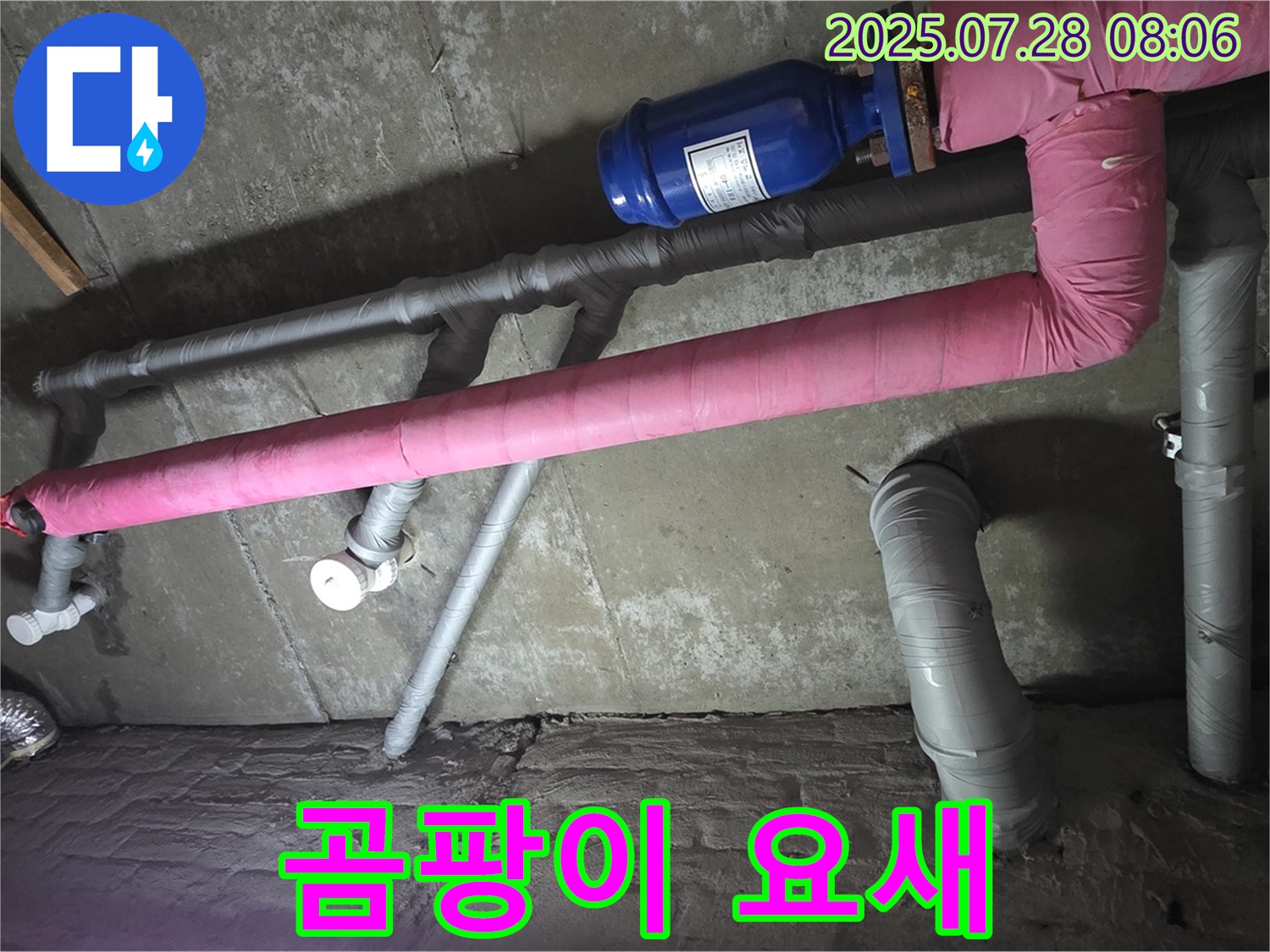 남양주 화도 마석 두산아파트 누수 - 핑크 보온재, 곰팡이 요새?! 곰팡이 공격 준비!