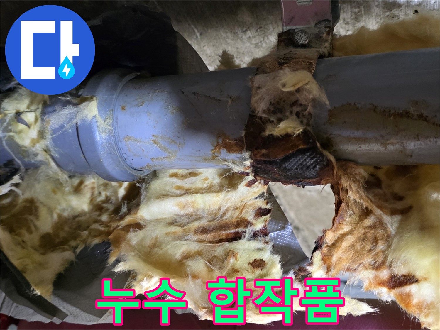 남양주 화도읍 두산아파트 누수 - 낡은 배관에서 누수가 발생하고 곰팡이가 피어난 마지막 눈물의 합작품입니다.