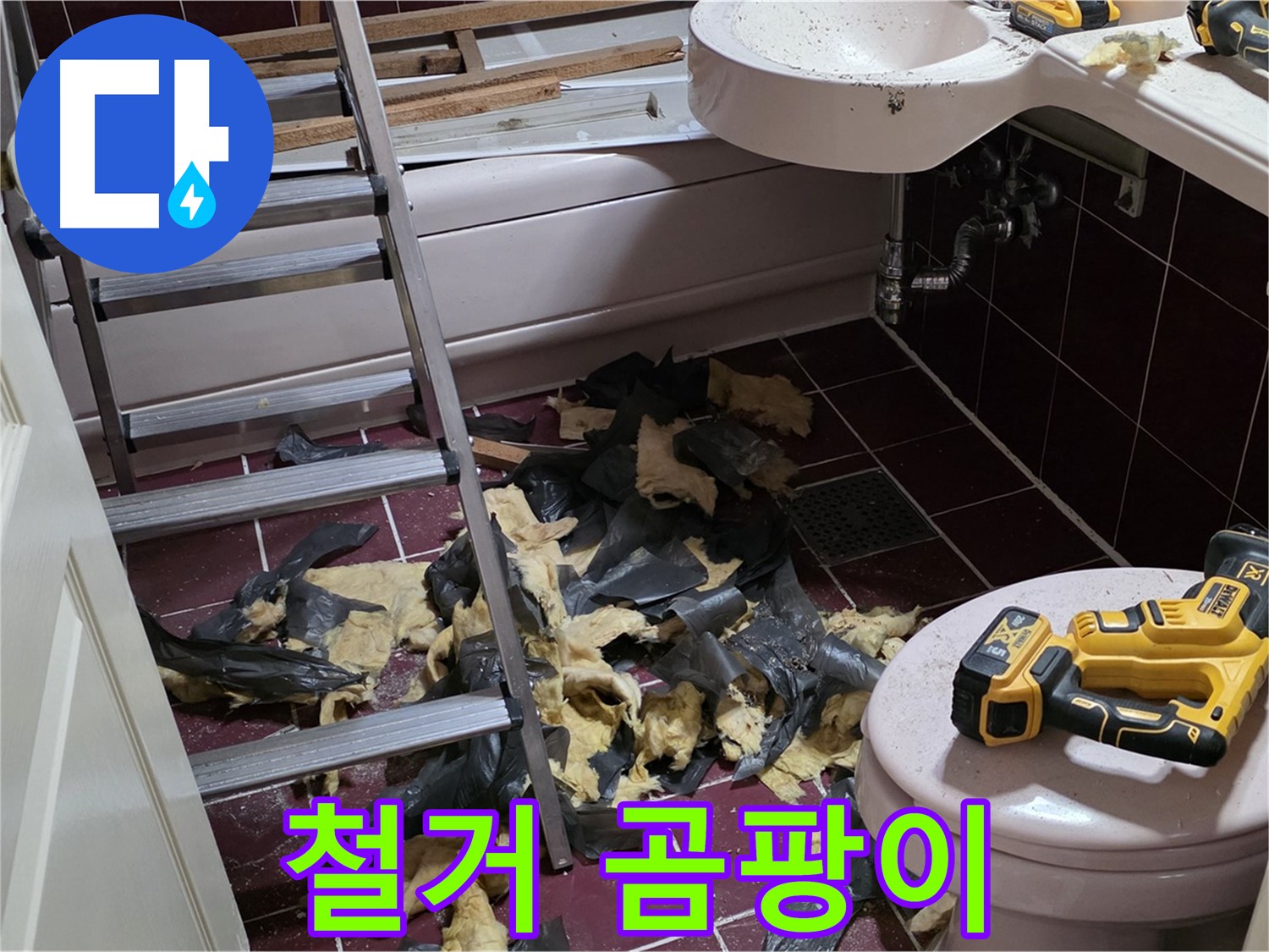 남양주 화도읍 두산아파트 욕실 철거 후 드러난 곰팡이 아지트 - 긴급 방역 실시!